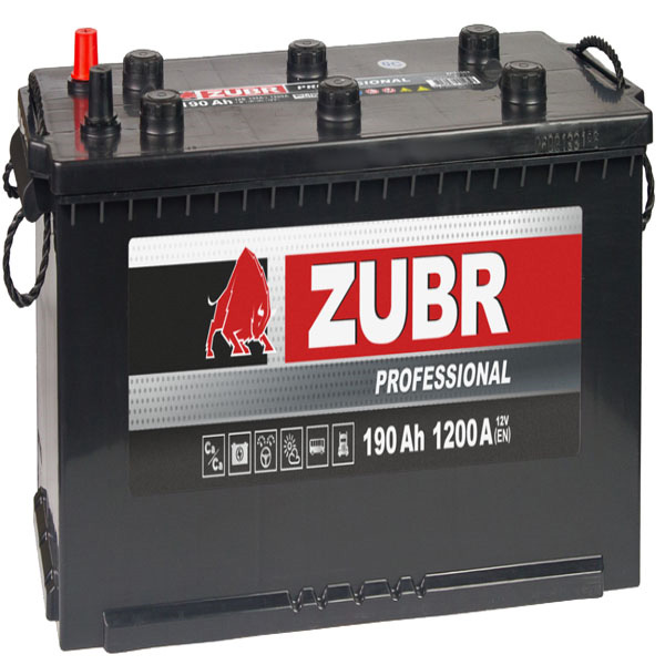 6СТ-190 * ZUBR PROFESSIONAL обратная евро конус 1250А 510x218x225 (Беларусь)