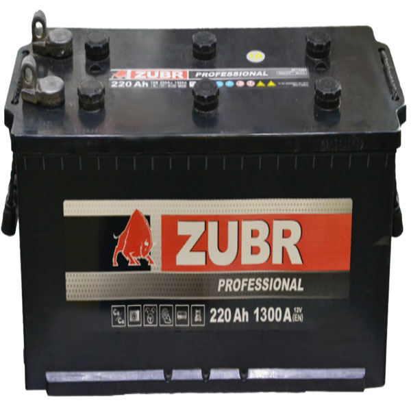 6СТ-220 * ZUBR PROFESSIONAL прямая болт 1300А 510x218x225 (КАМАЗ NEO) (Беларусь)