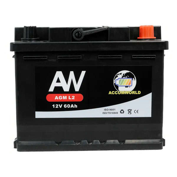 6СТ-60 * ACCUMWORLD AGM обратная 650А 242x175x190 Китай